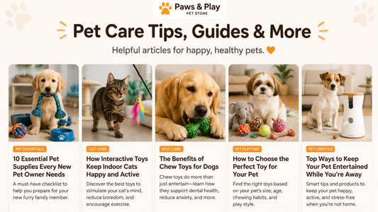 10 Essential Pet Supplies Every New Pet Owner Needs