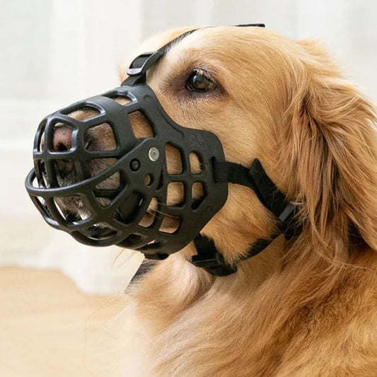 Dog wearing a black muzzle with a neutral background