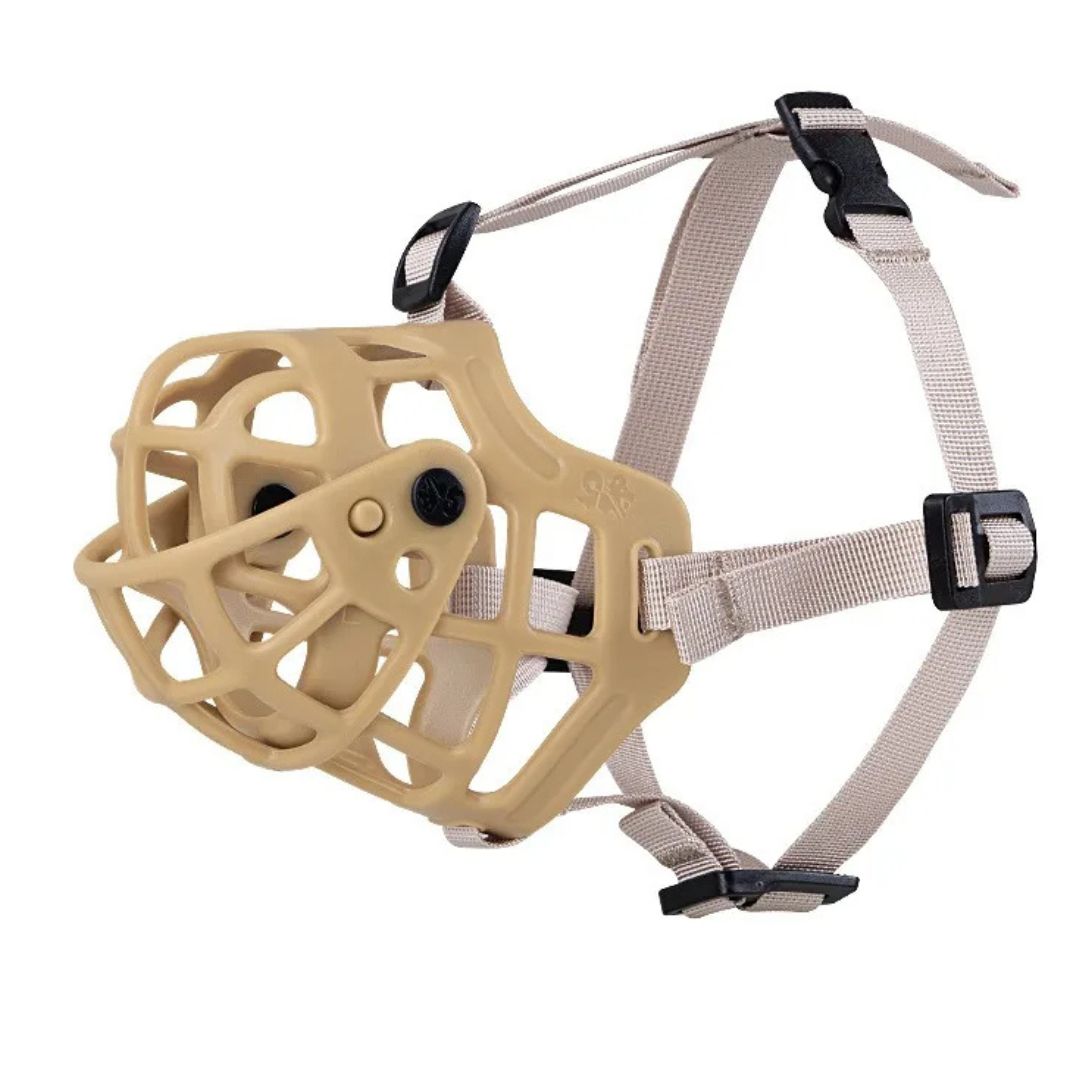 Beige dog muzzle with a gray harness on a white background