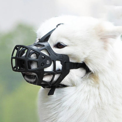White dog wearing a black muzzle with a blurred green background