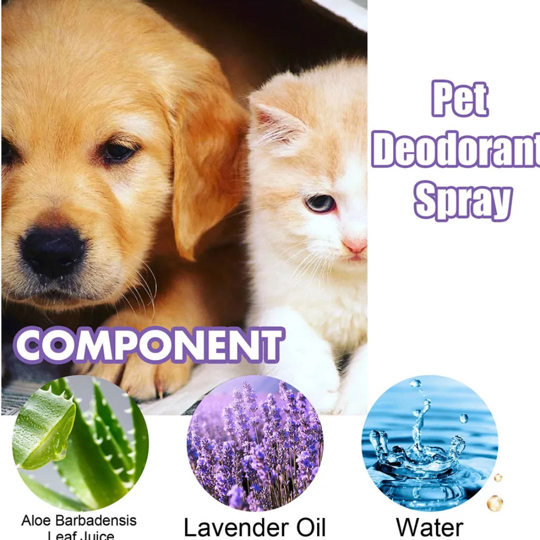 Pet Odor Spray