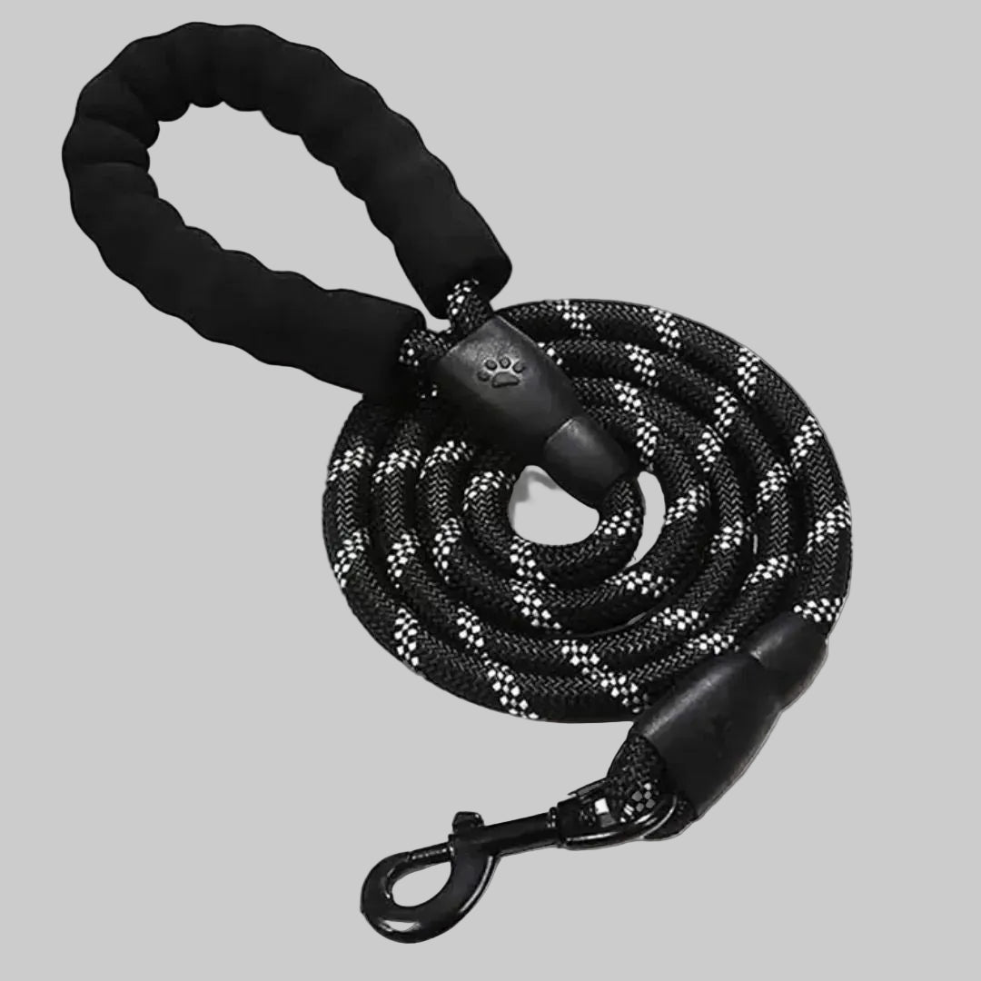 Black dog leash with paw-shaped clip on a gray background