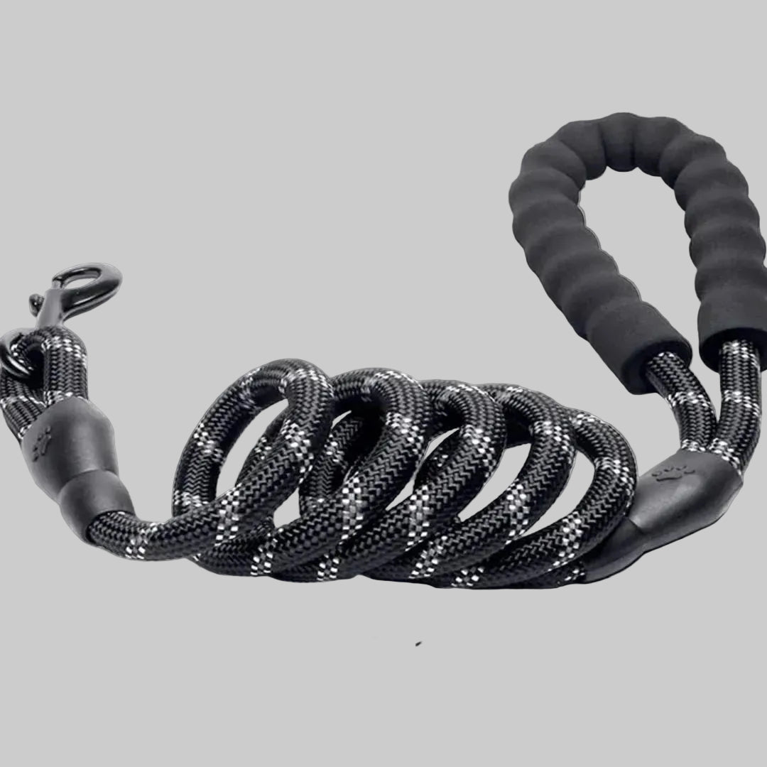 Black dog leash with measurement details on a gray background