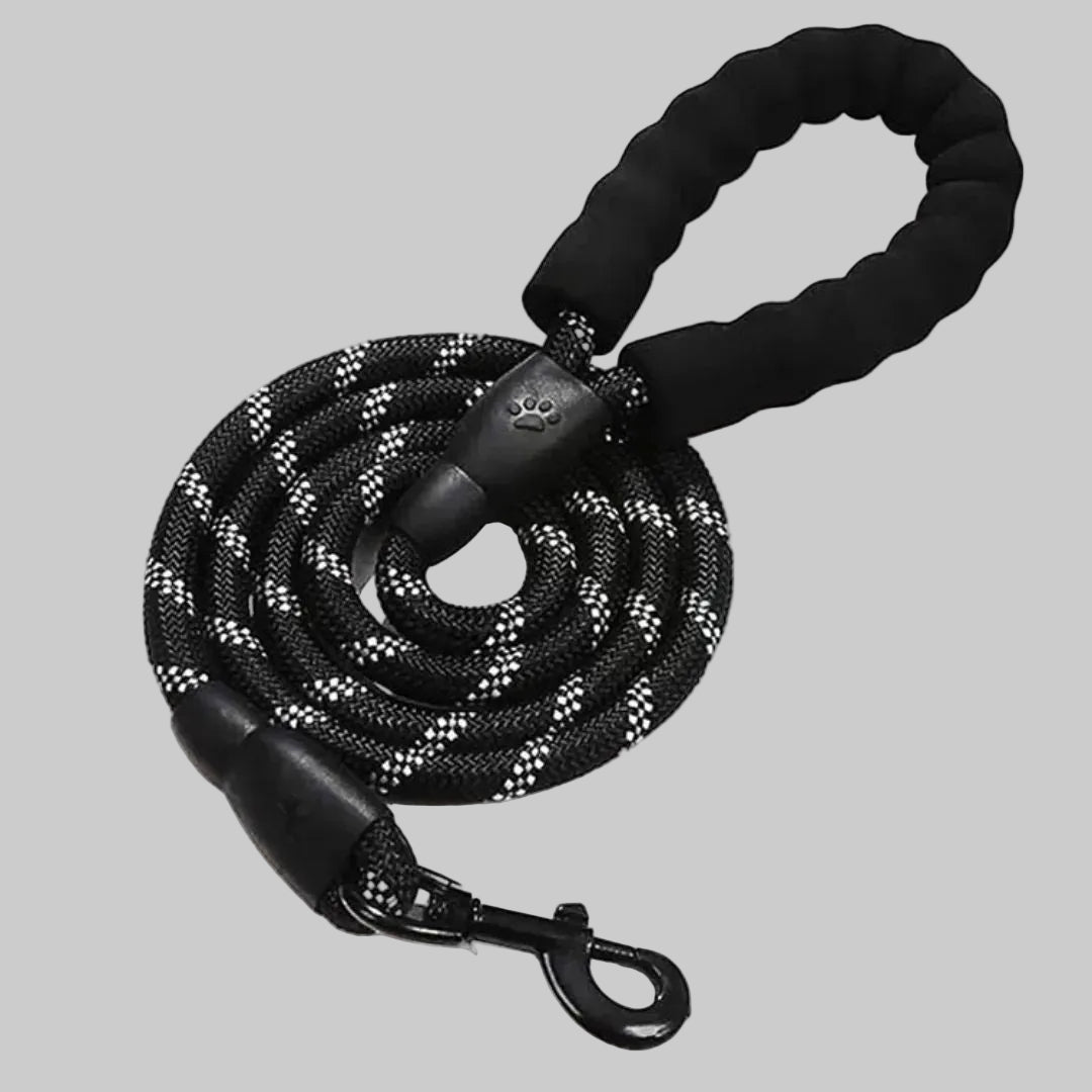 Black dog leash with paw print design on a gray background