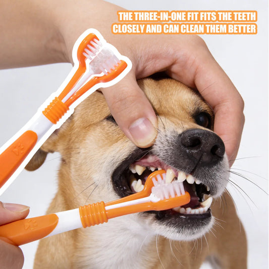 Dog being brushed with a pet toothbrush, emphasizing the product's effectiveness.