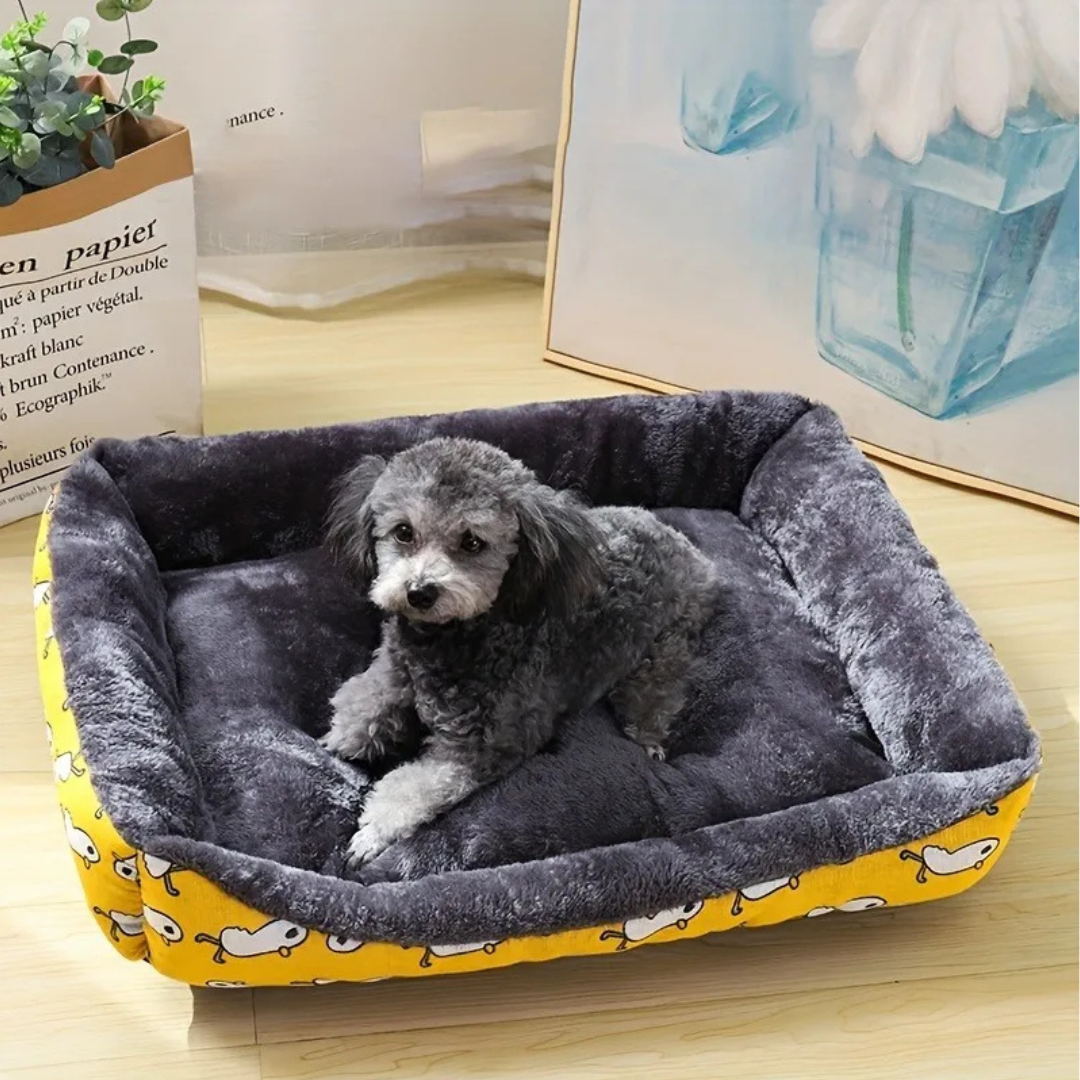 Dog lying on a gray pet bed with yellow edge and cartoon design, indoors.