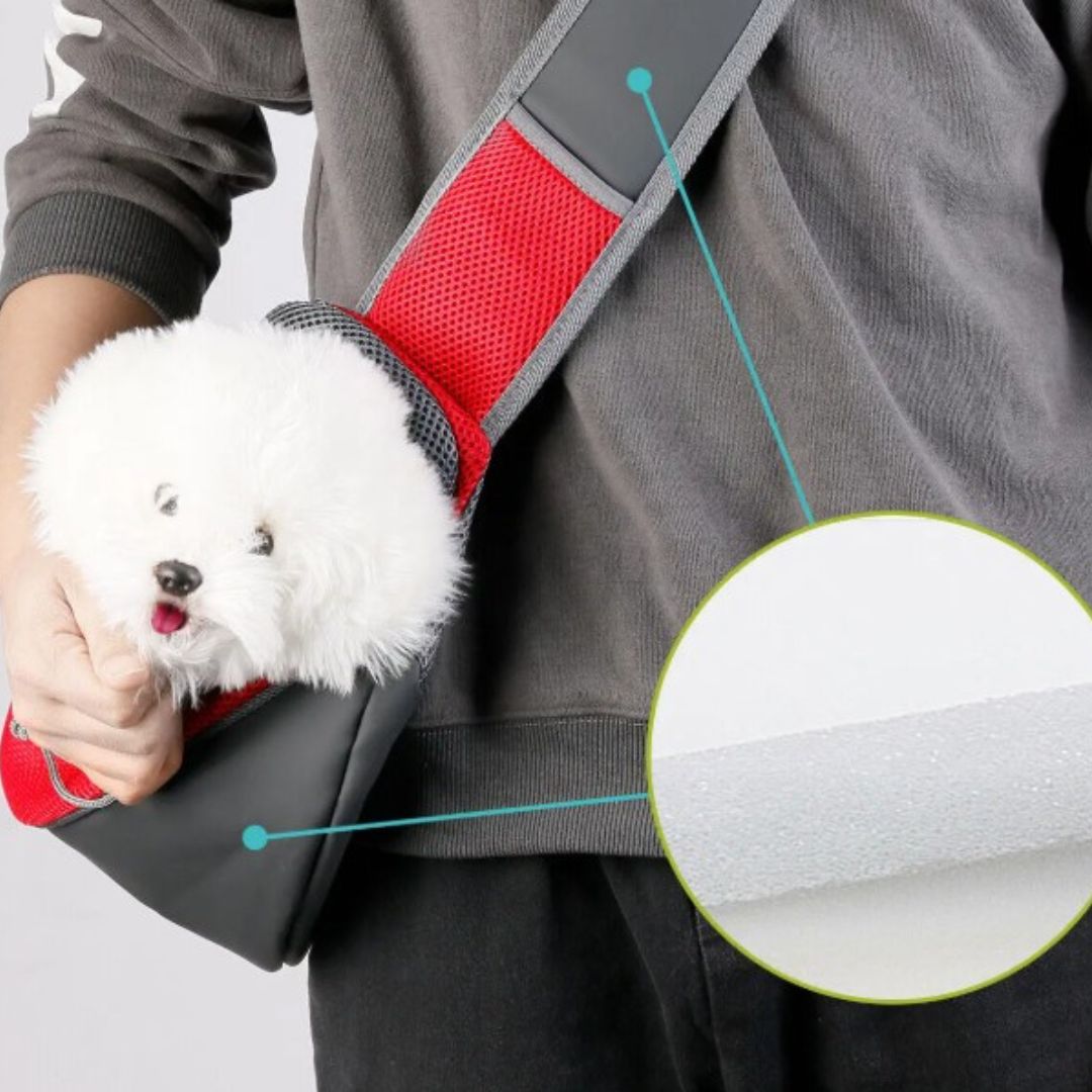 Person holding a small white dog in a gray pet carrier with red interior.