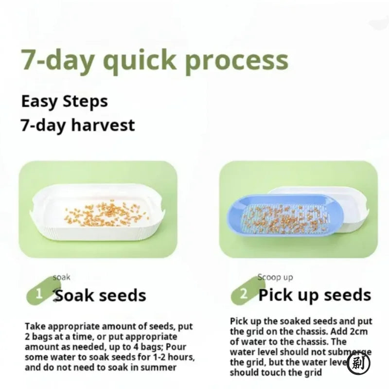 Hydroponic Cat Grass Kit