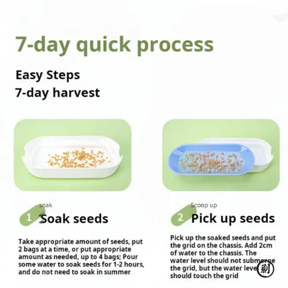 Hydroponic Cat Grass Kit