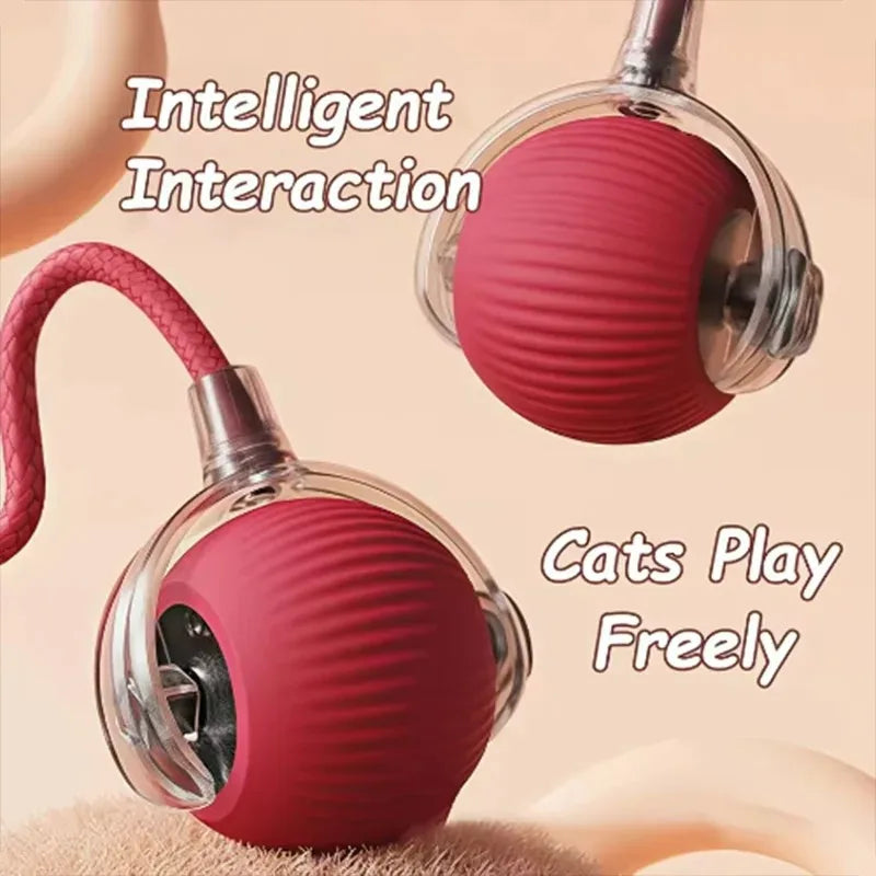 Two red cat toys with wheels on a beige background, labeled 'Intelligent Interaction' and 'Cats Play Freely'.
