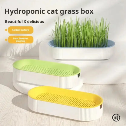 Hydroponic Cat Grass Kit