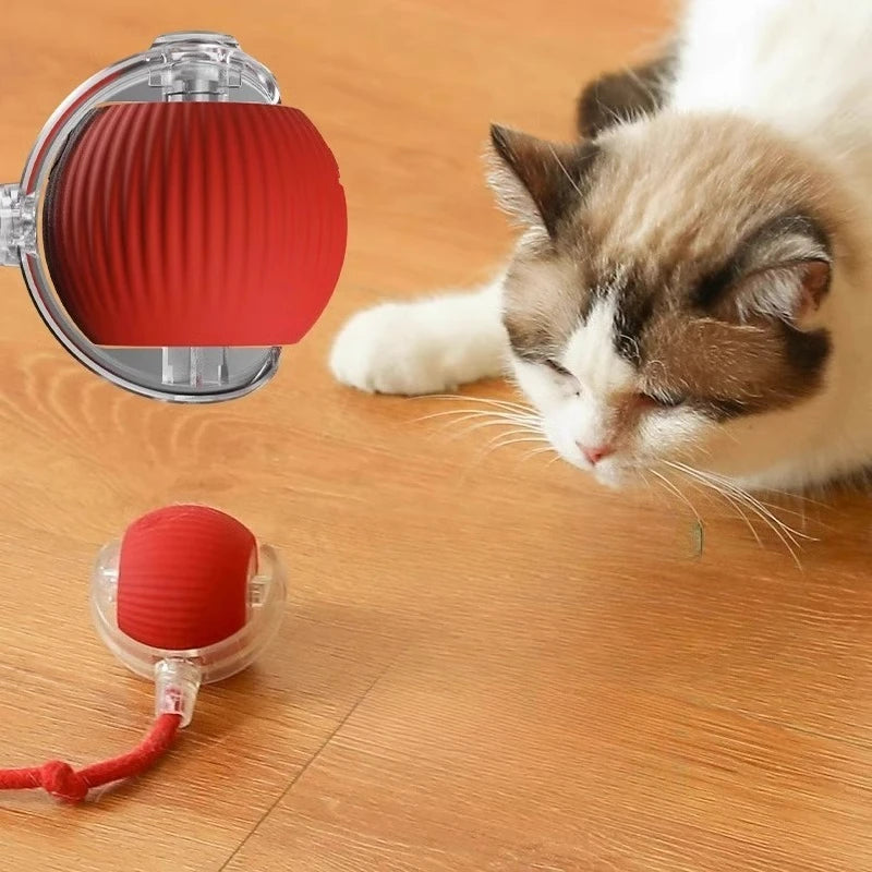 Cat playing with a red and clear ball toy on a wooden floor
