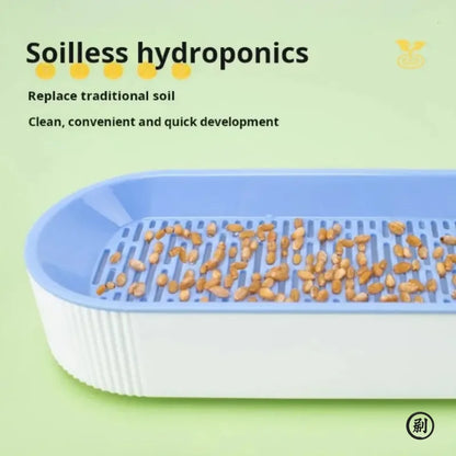 Hydroponic Cat Grass Kit
