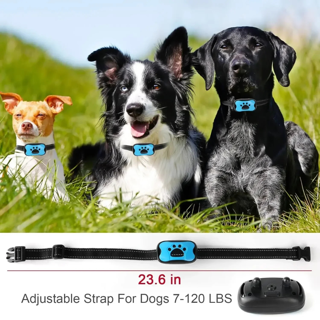 Three dogs wearing blue dog collars with an adjustable strap for dogs 7-120 lbs displayed below.