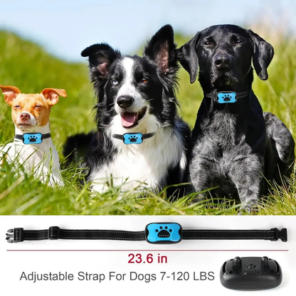 Three dogs wearing blue dog collars with an adjustable strap for dogs 7-120 lbs displayed below.