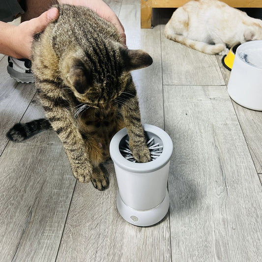 Dog and Cat Paw Cleaner with soft silicone bristles for removing dirt, mud, and debris from pet paws after walks.