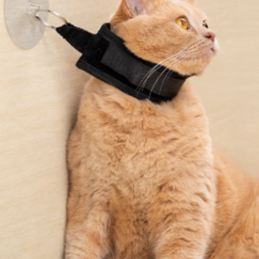 Adjustable Dog & Cat Bathing Restraint