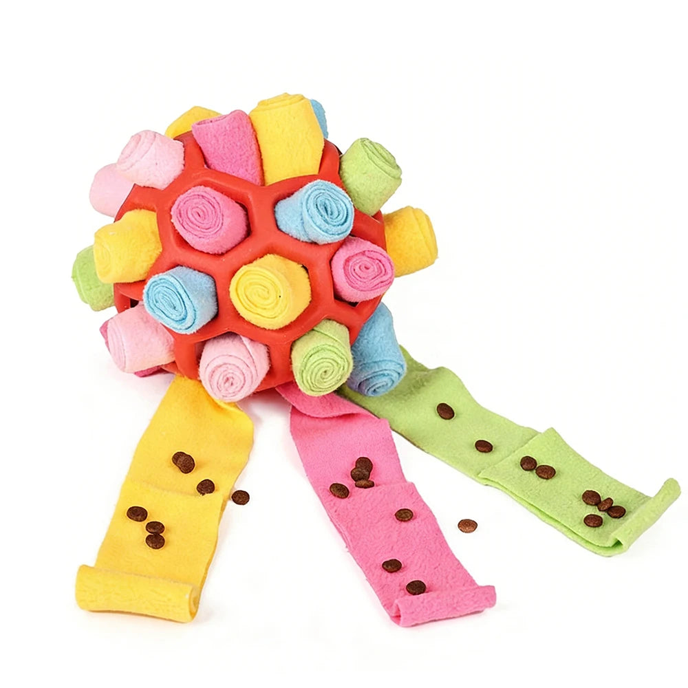 Colorful dog toy with soft