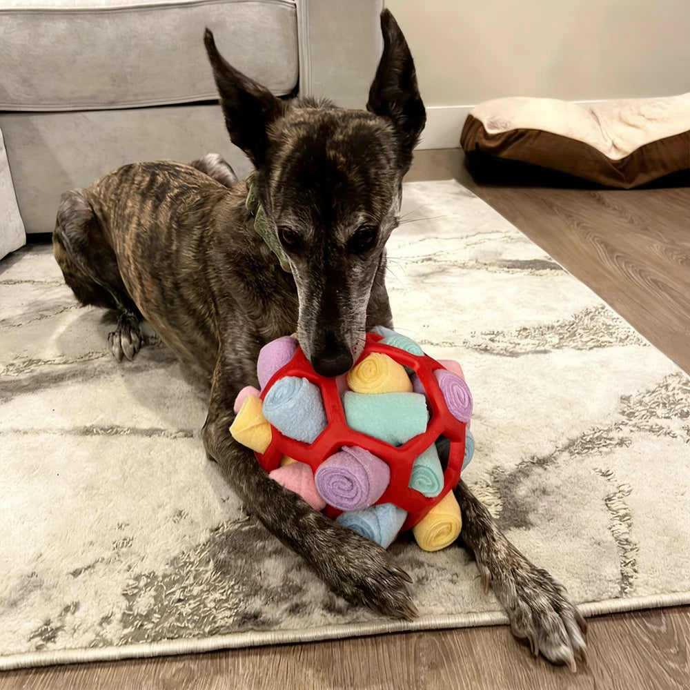 Dog playing with a colorful ball toy on a rug