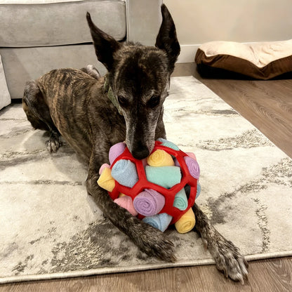 Dog playing with a colorful ball toy on a rug