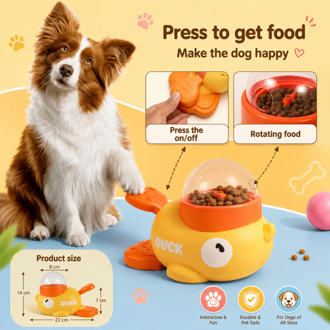 Puppy Accessories