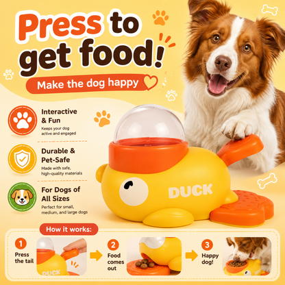 Puppy Accessories