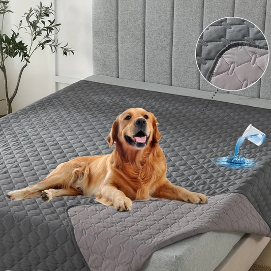 Dog lying on a gray quilted mattress protector with water spill feature, in a bedroom setting.