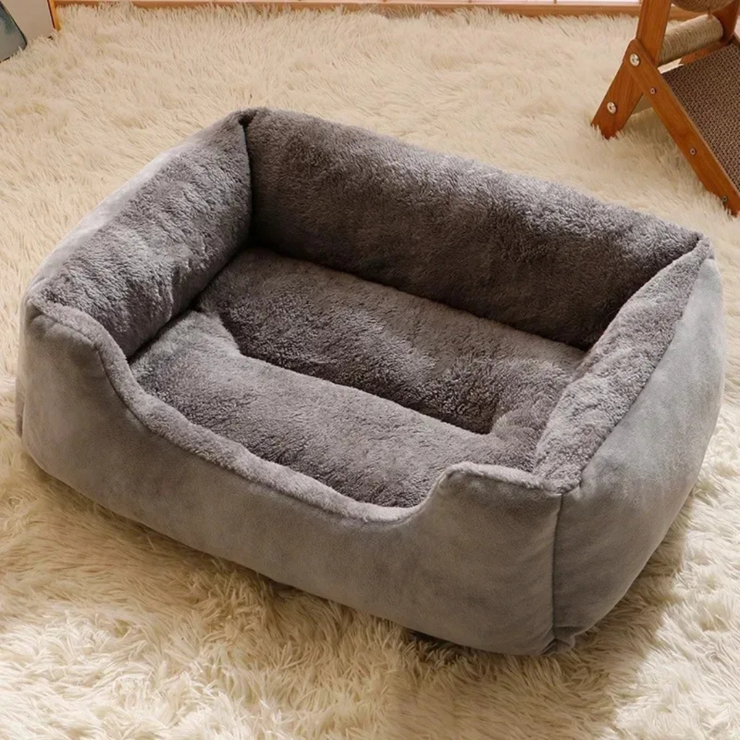 Gray pet bed on a beige carpet