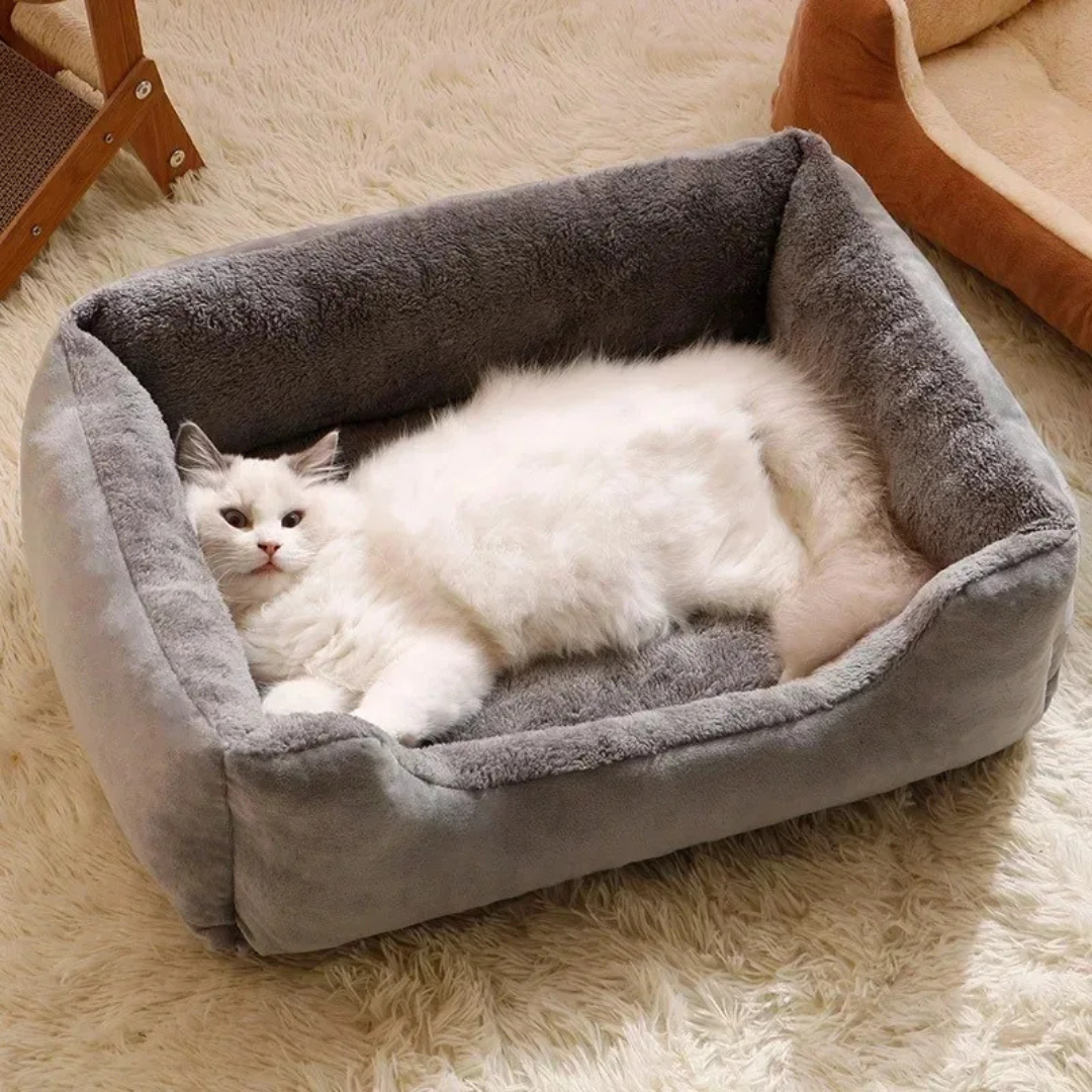 White cat lying on a gray pet bed in a cozy room.