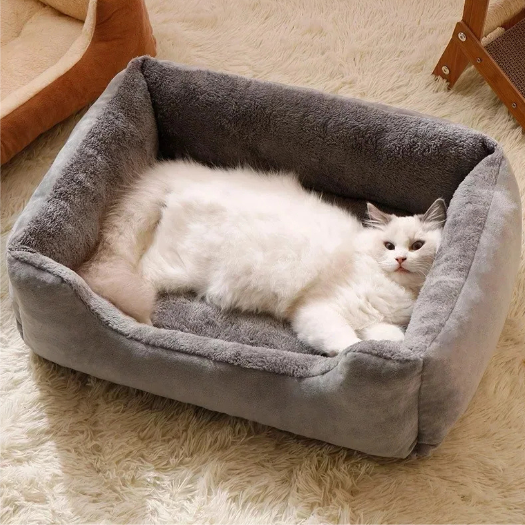 White cat lying in a gray pet bed on a beige carpet