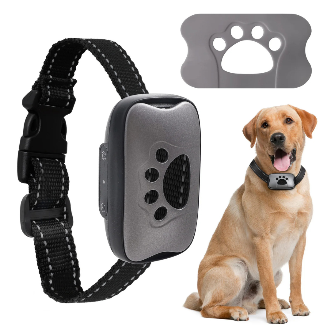 Dog training collar with receiver and dog on a white background