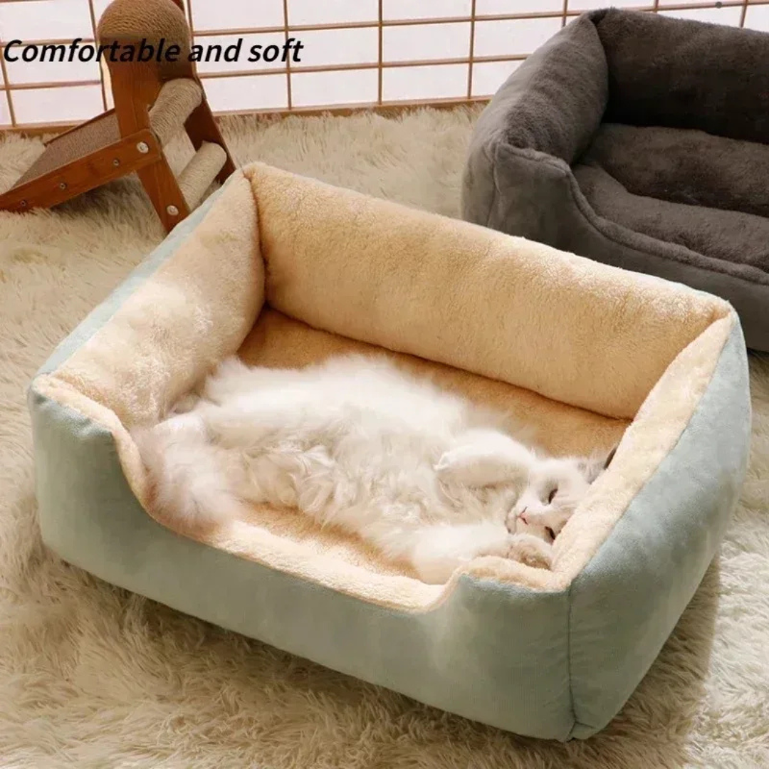 Comfortable pet bed with fluffy interior on a soft surface, labeled 'Comfortable and soft'.