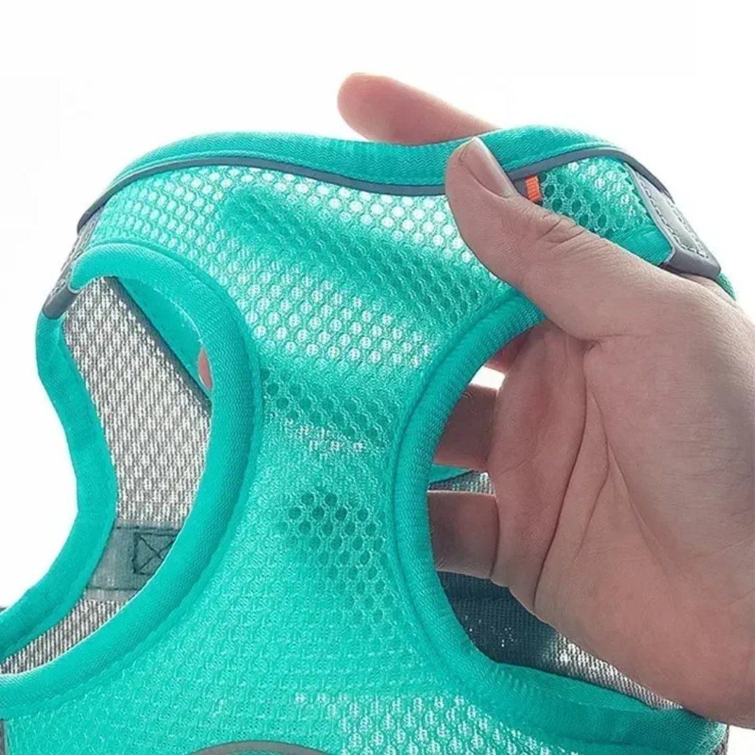 Turquoise dog harness held by a hand on a white background