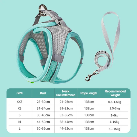 Pet harness and leash set with size chart on a light blue background