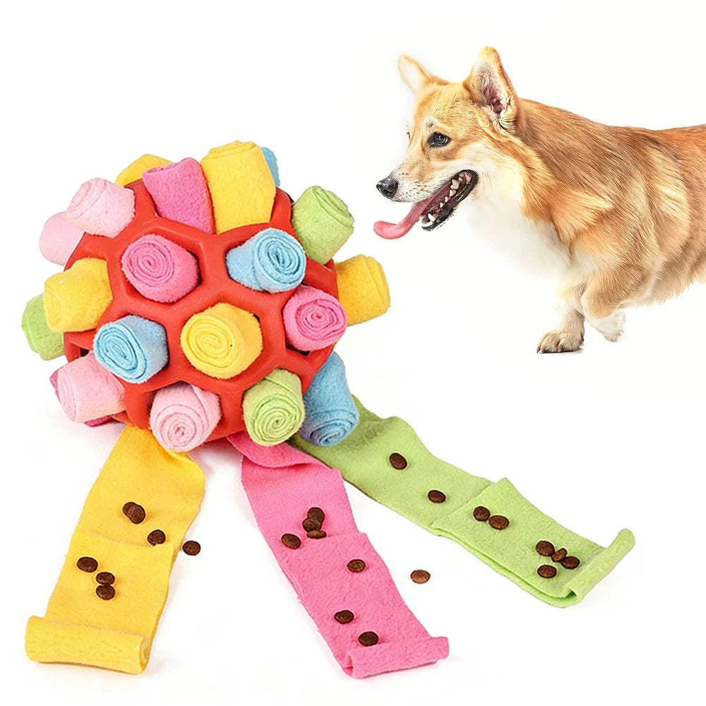 Colorful dog toy with a dog on a white background