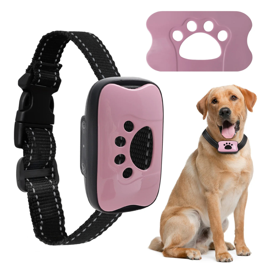Pink and black dog training collar with a dog wearing it on a white background
