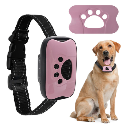 Pink and black dog training collar with a dog wearing it on a white background